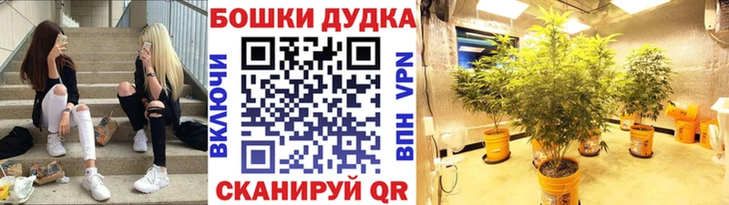 Магазин наркотиков Армянск Cocaine  Alpha PVP  Мефедрон  ГАШИШ  Каннабис 