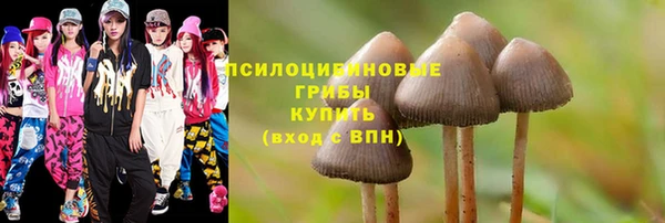 таблы Арсеньев