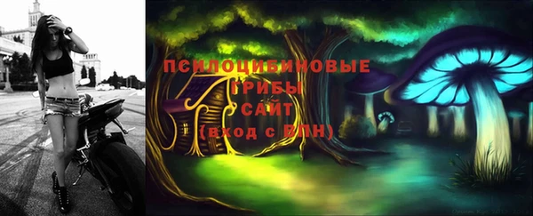 амф Алзамай