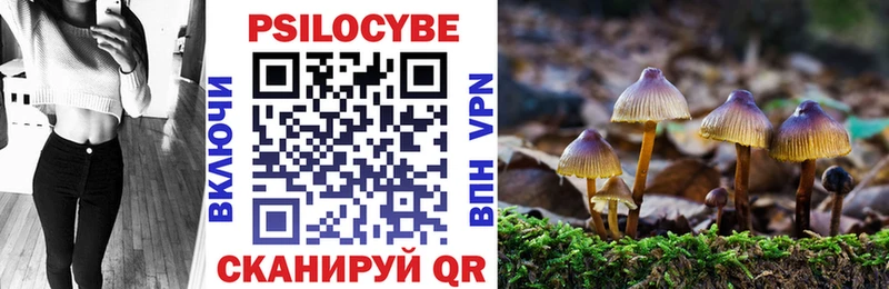 Псилоцибиновые грибы MAGIC MUSHROOMS  Армянск 