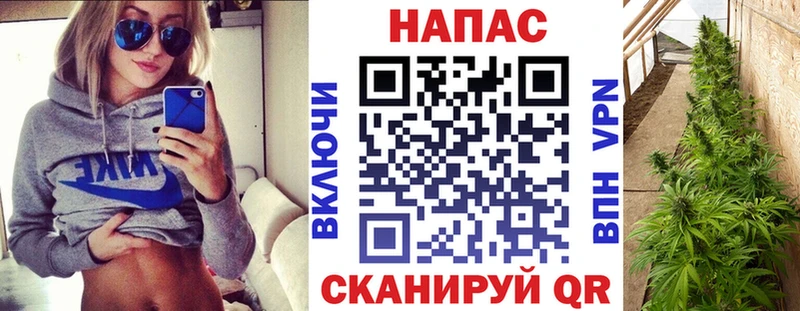 Бошки марихуана семена  ОМГ ОМГ рабочий сайт  Армянск 